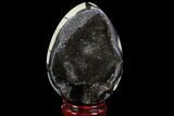 Septarian Dragon Egg Geode - Black Crystals #88335-1